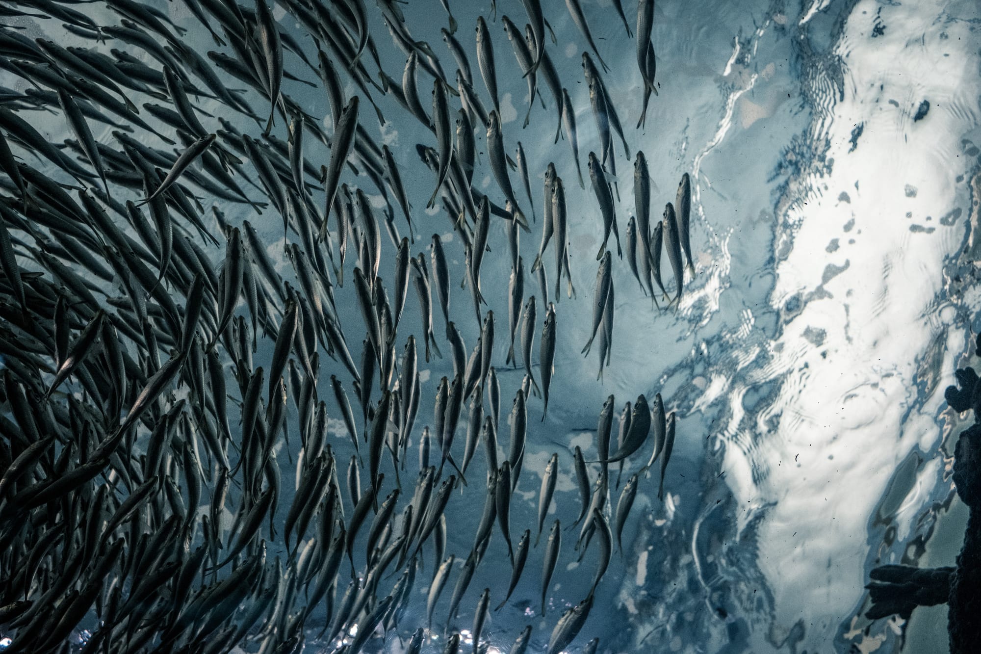 Phishing workshop notes